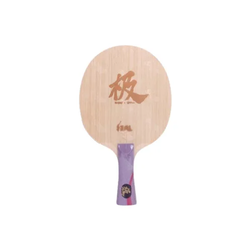 DHS Ping Pong Paddles