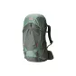 Lichen Green (Lichen Green)