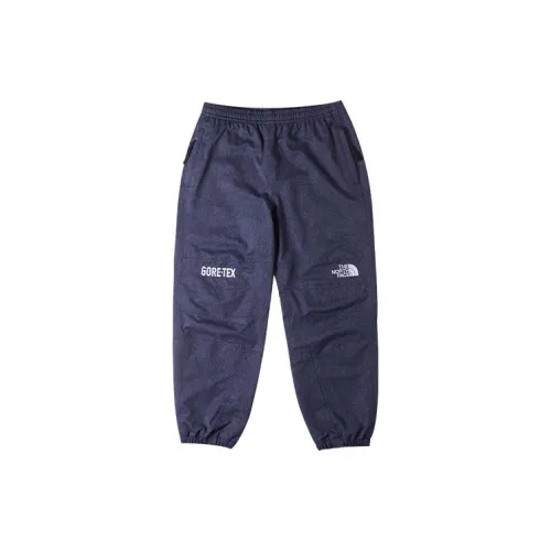 THE NORTH FACE Back In Blue Series Windbreaker Pants Men Blue