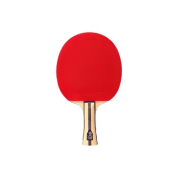 DHS Ping Pong Paddles