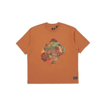 Levis T Shirts Men Brown