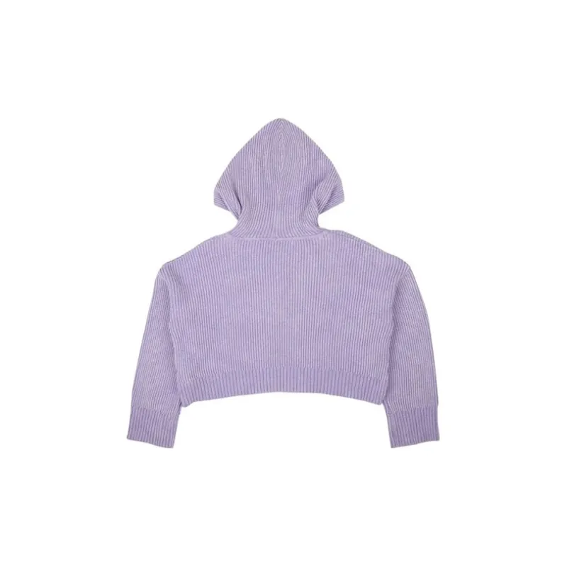 PALM ANGELS Pxp Sweater Ribbed Cropped Hoodie 'Purple'-1
