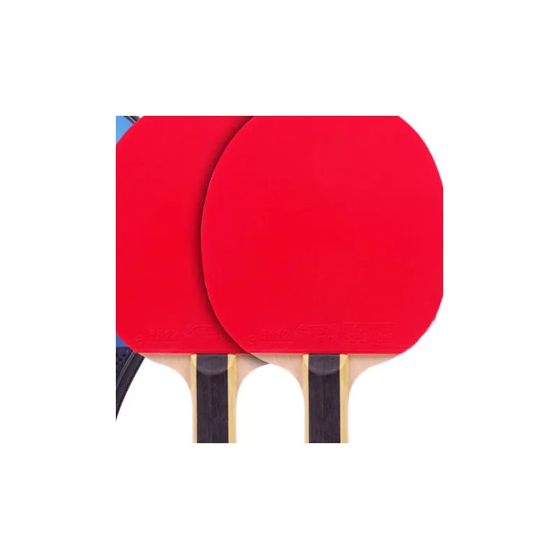 DHS Ping Pong Paddles-0