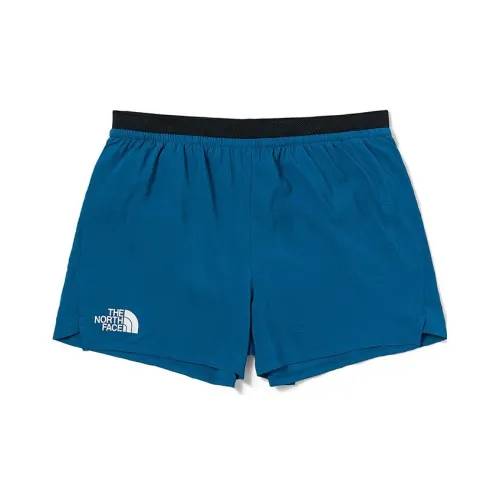 THE NORTH FACE Casual Shorts Men Blue