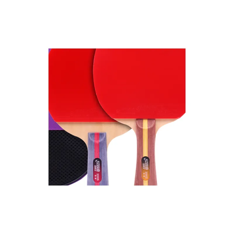 DHS Ping Pong Paddles Unisex All Wood-0