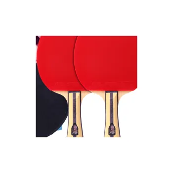 DHS Ping Pong Paddles