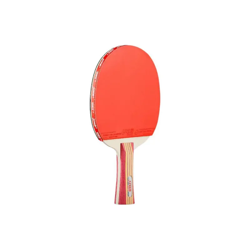 DHS Ping Pong Paddles Unisex Solid Wood Baseboard-2