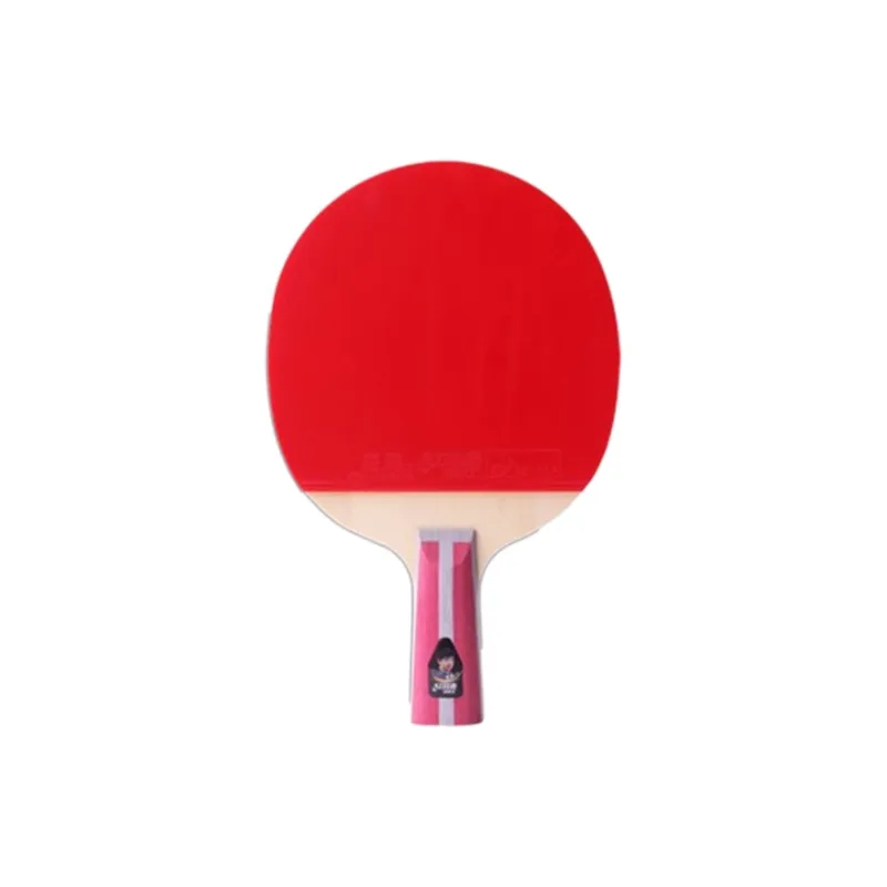 DHS Ping Pong Paddles-2