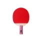 H4 Star Single (Penhold Grip) with Free Table Tennis 6 Pack+Racket