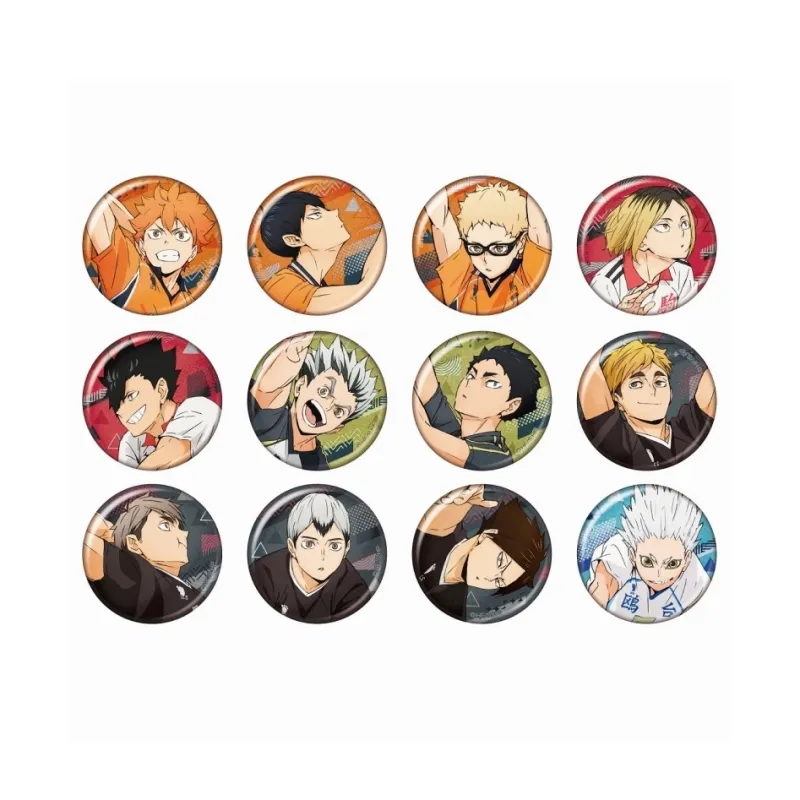 Animate Haikyuu!! Anime Version Badges-3