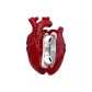 AirPods Pro/Pro2 Transparent Red