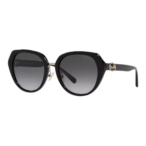 COACH Plate Frame Round Sunglasses Women's Black/Brown/Red