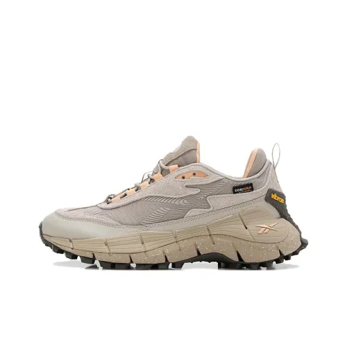 Reebok ZIG KINETICA 2.5 EDGE Slip Resistant, Abrasion Resistant, Waterproof Low Top Running Shoes Unisex Gray