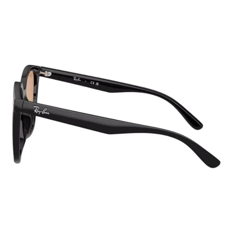 Ray Ban RB4423D Sunglasses-4
