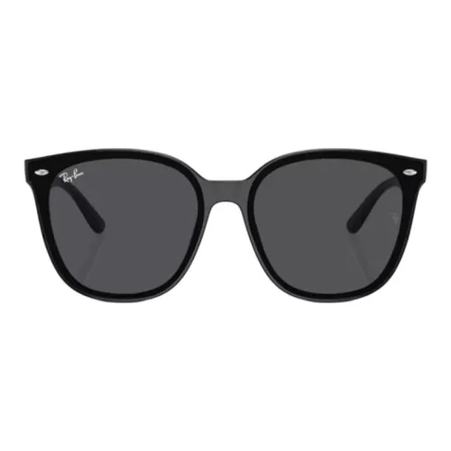 RayBan Hexagonal Frame Sunglasses