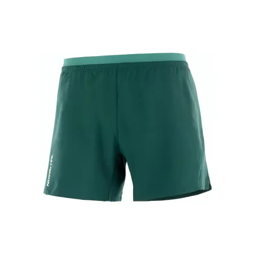 SALOMON CROSS 5'' Casual Shorts Men Green