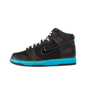 Nike Dunk High Skateboarding Shoes GS