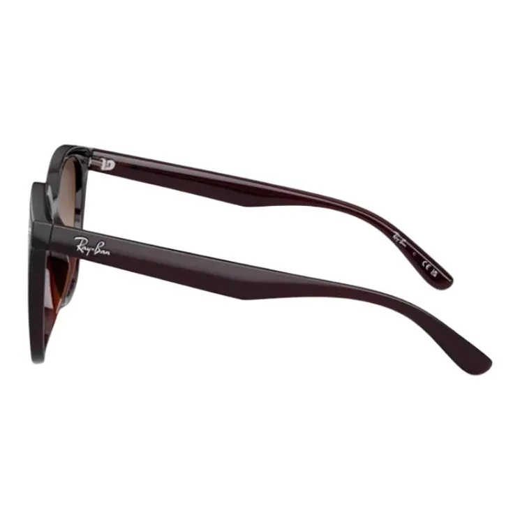 Ray Ban RB4423D Sunglasses-10