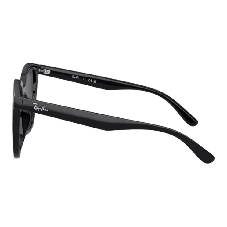 Ray Ban RB4423D Sunglasses-1