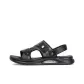 Black Gray