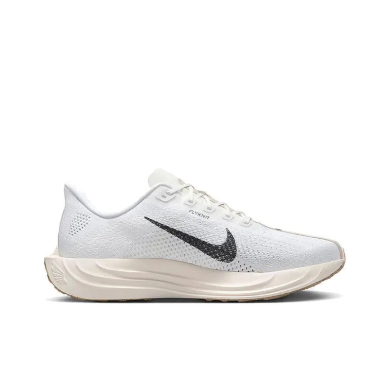Nike Pegasus Plus Sail Orewood Anthracite-1