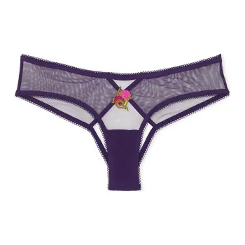 Victoria's Secret Very Sexy Strappy Hardware Cheeky Panty / Amethyst Underpants Women's 1 Pack Amethyst