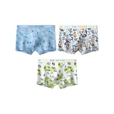 3 Pack (D Set-Gaming Boy+Trendy Graffiti+Skateboard Youth)