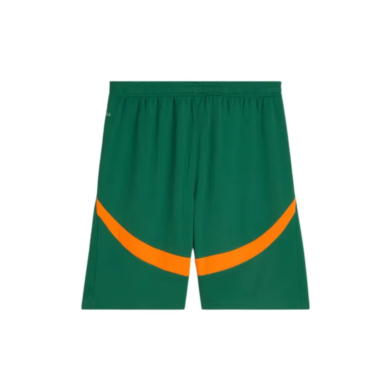 PUMA Valencia CFDRYCELL SS24 Valencia CF 24/25 Shorts Men Soccer Bottoms Men's Green-1