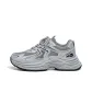 Silver/Gray