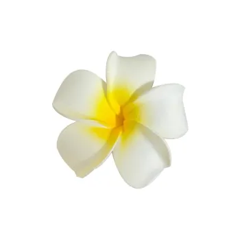 JianKai Hair Clips Women's