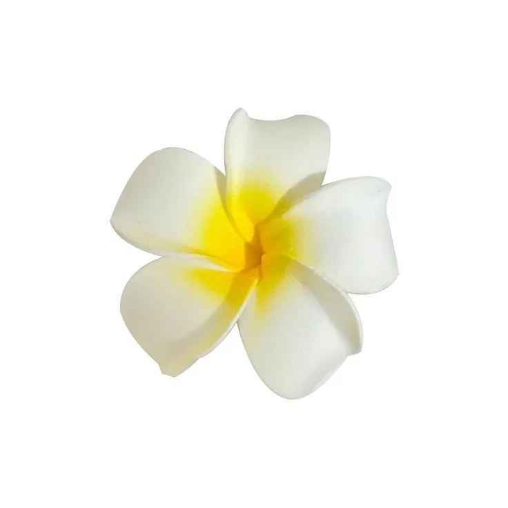 JianKai Hair Clips Women's-0