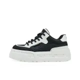 Obsidian Black