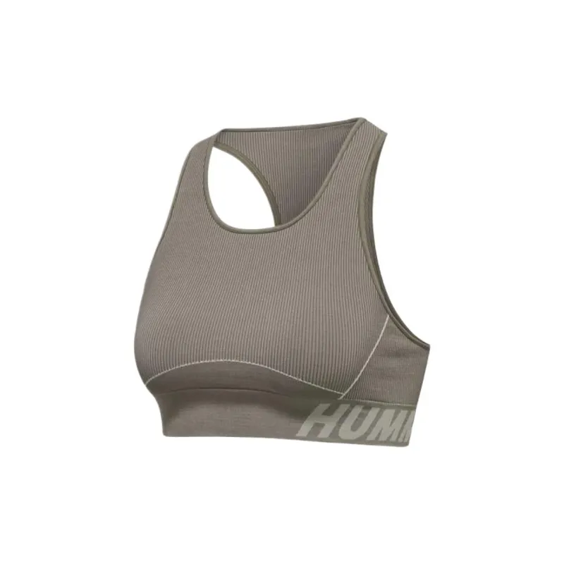 Hummel HmlTE CHRISTEL SEAMLESS SPORTS TOP Sports Underwear Women's Purple-1