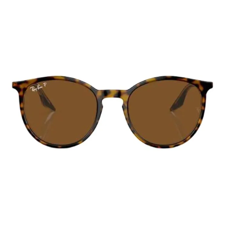RayBan Round Frame Sunglasses-1