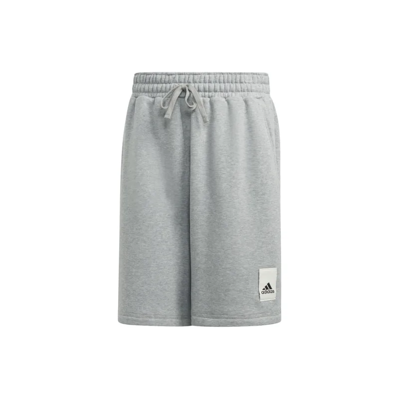 Adidas Casual Shorts Men's Gray-1