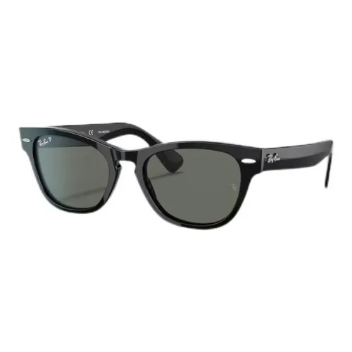 RayBan Plastic Cat Eye Sunglasses Unisex Black