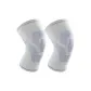 Gray 2 Pack
