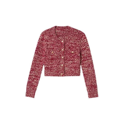 P.Salt Sweaters Women's Maroon