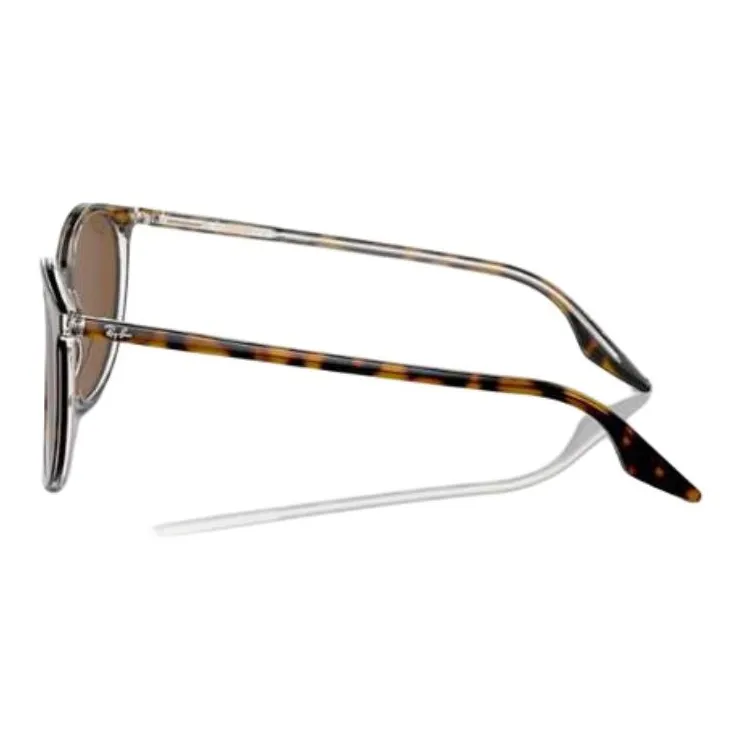 RayBan Round Frame Sunglasses-2