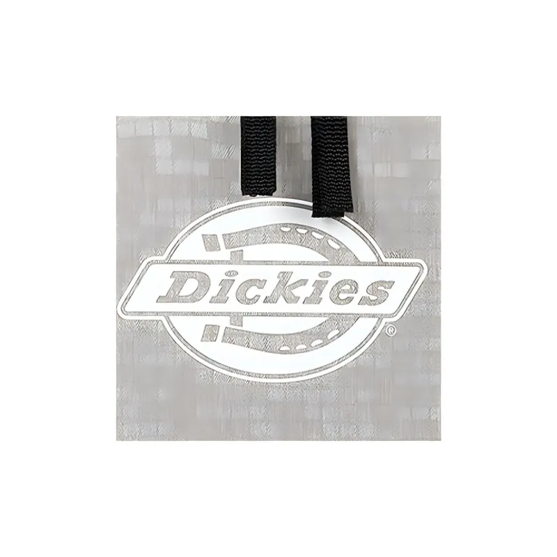 Dickies Fabric Backpack Regular Unisex Khaki-2