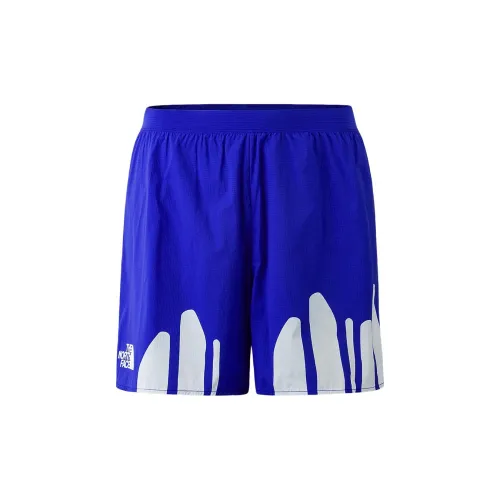 THE NORTH FACE City Outdoor Collection Sports Shorts Men Blue