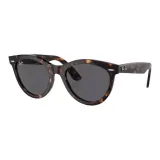 Black Tortoiseshell