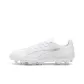 White/Gray