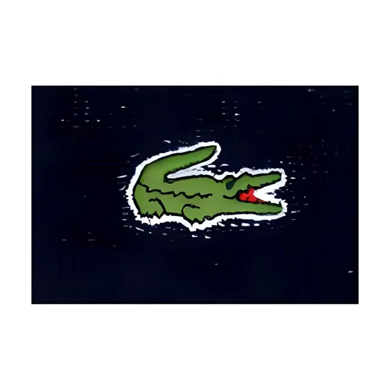 LACOSTE Wristbands-6