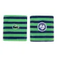 Blue Green Stripes