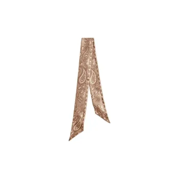 Golden Goose Paisley Printed Rectangle Shape Scarf