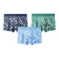 Navy Blue+Jasper+Aqua Blue