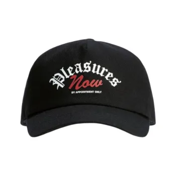 PLEASURES Appointment Unconstructed Snapback