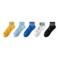 5 Colors Assorted