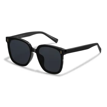 HELMER Plate Frame TR/Memory Plastic Irregular Shape Sunglasses Unisex